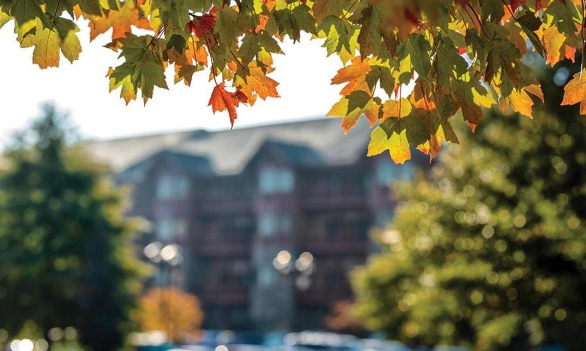 Great Smokies Lodge Sevierville By Hellovacay Zewnętrze zdjęcie